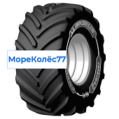 CereXbib 2 CFO+