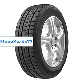 Icepioneer 868