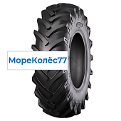 TOR12 (KNK50)